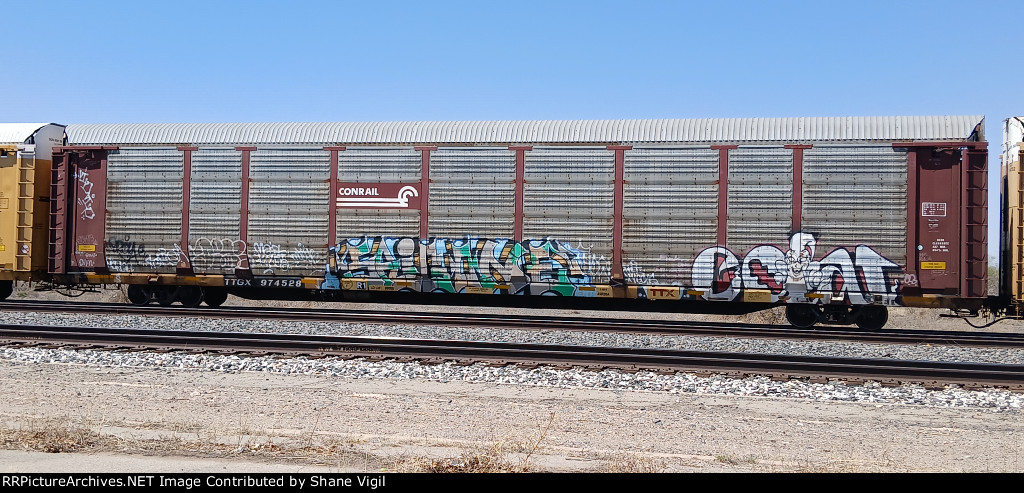 TTGX 974528